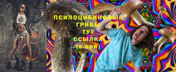 метадон Алексин