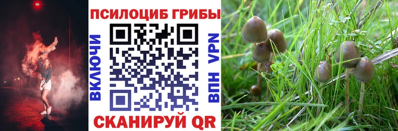 Псилоцибиновые грибы Magic Shrooms  Купить  Кемерово 